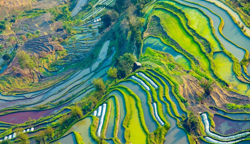 额济纳旗产品视频拍摄